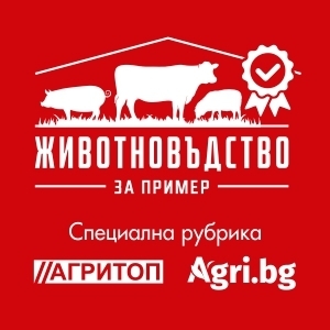 Животновъдство за пример