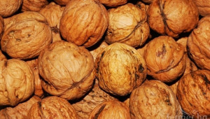Проверки на производителите на орехи  - Agri.bg