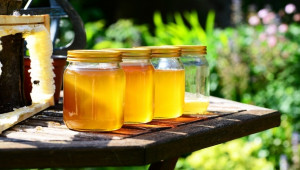 Украинската инвазия: 16 000 тона мед годишно само от един завод - Agri.bg