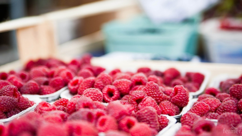 Кои са иновативните подходи за печелившо производство на ягодоплодни?