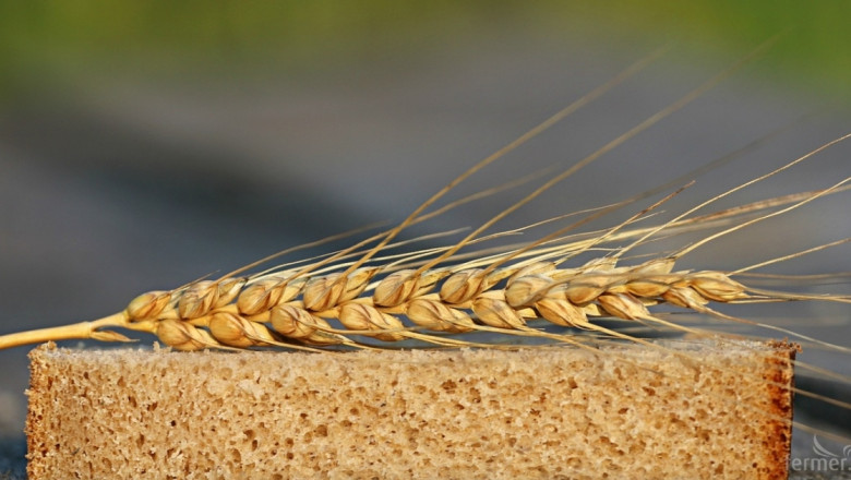 Спад на цените спря сделките с пшеница на борсата