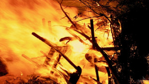 Пламъци погълнаха овошки в Кюстендилско - Снимка 1
