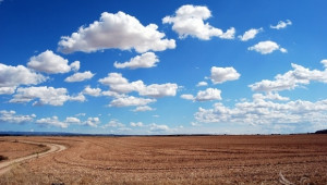EURACTIV: Цената на земеделската земя в България се повиши със 175%