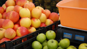 Овощар: Ябълката държи една цена от 20 години - Снимка 2