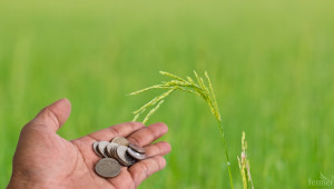 Брюксел плаща 383 млн. евро на България за разходи в земеделието - Снимка 1
