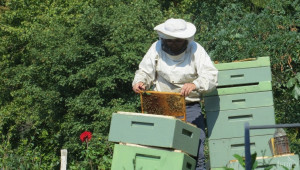 Ще има ли българското пчеларство своя стратегия? - Снимка 2