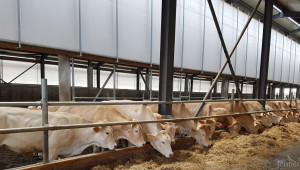 Ферма показва най-съвременните тенденции на европейското животновъдство - Снимка 1