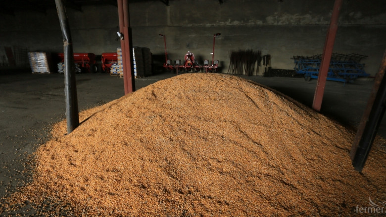 Активизира се износът на родна царевица