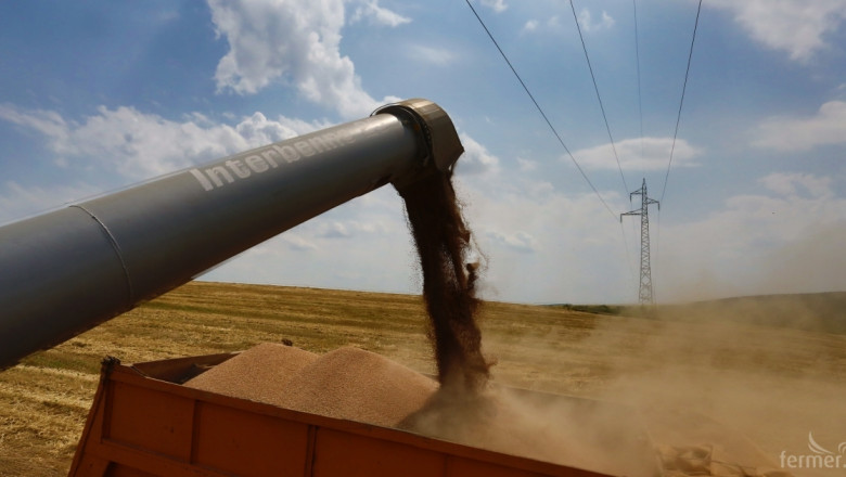Нови данни как пшеницата поскъпна с 20% за година