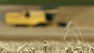 Прогноза: Реколтата от пшеница в ЕС може да достигне четиригодишен връх - Снимка 1