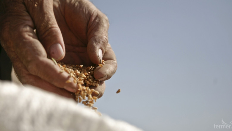 Борсите: Пшеницата поевтиня, Русия също успокои пазара