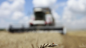 2018 г. в селското стопанство: Зърнопроизводство - Снимка 1