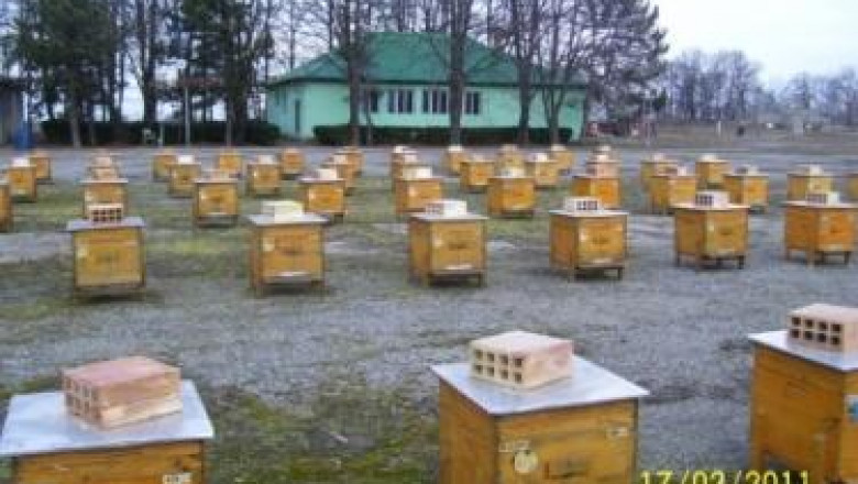 Зазимяването на пчелите през октомври