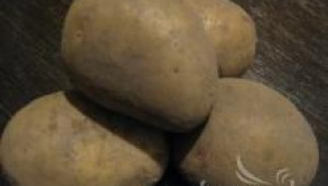  Съхранение на картофите   