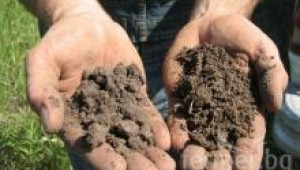 Състояние, обработки и грижи за почвата - Agri.bg