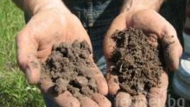 Състояние, обработки и грижи за почвата