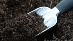 Подхранете почвата още през есента с торове - Agri.bg