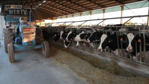 В Европа млекоматите и фермите са във всеки град - Agri.bg