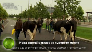Нова евродиректива ще регулира пазара на сурово мляко - Agri.bg