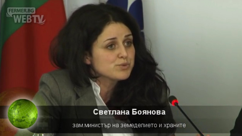 Зам.министър Светлана Боянова за зиг-заг-а в допустимия слой - 2012
