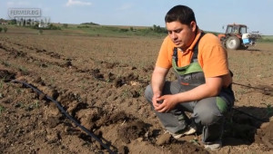 За първи път в България - подпочвено капково напояване за царевица