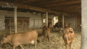 Семинар на фуражен завод Топ Микс за хранене на крави