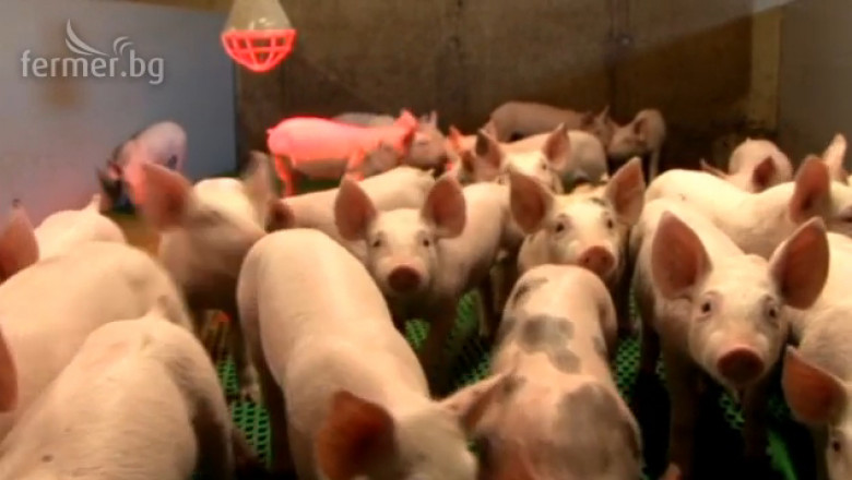 Найденов: Помощта към свиневъдите ще бъде платена през Май-Юни