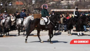 Тодоров ден - Награждаване на най-добрите спортни коне