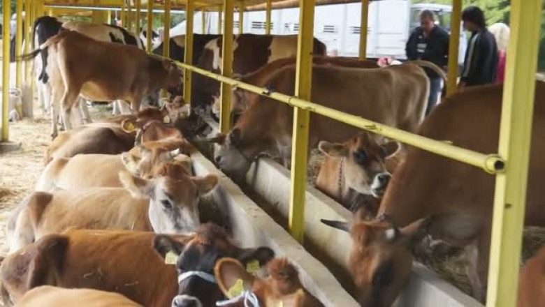 Изложение по говедовъдство се проведе край Сливен