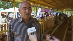 Димитър Ангелов: Сериозен проблем е липсата на пазар за агнетата