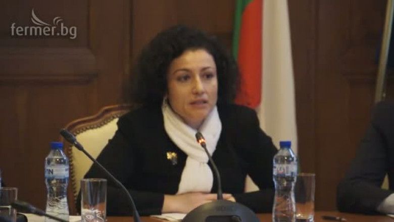Десислава Танева за бюджетите на схемите за Директни плащания 2015