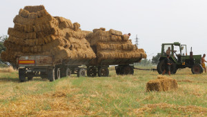 Ставки по СЕПП 2015 и промени в закона за земеделците