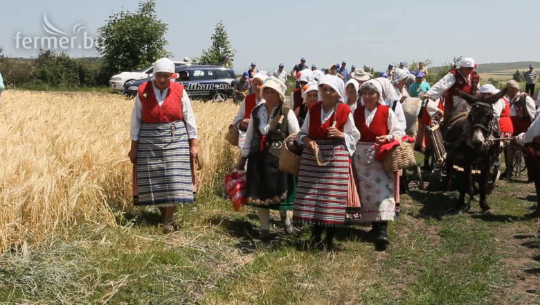Започна жътвата на ечемик в Южна България