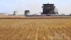 Жътва на пшеница