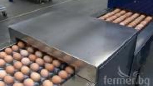 Машина за класифициране и опаковане на яйца