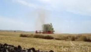 Жътва на пшеница 2013