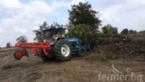 Събаряне на дърво с трактор
