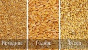 Сортиране на пшеница по стъкловидност - Agri.bg