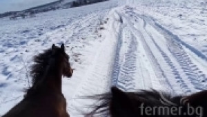 winter riding