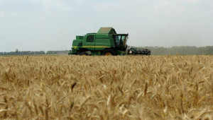 Жътва - прибиране на реколта пшеница 2012