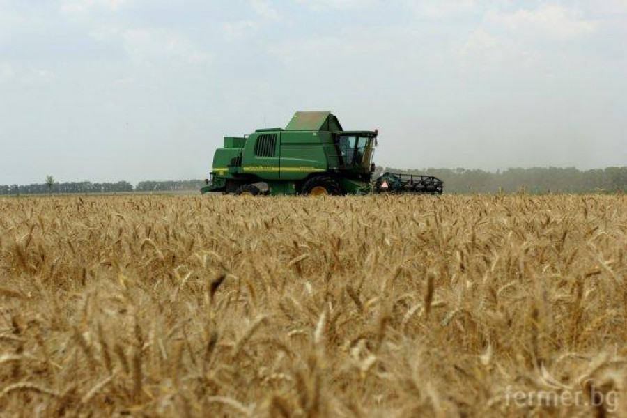 Жътва - прибиране на реколта пшеница 2012 - Снимка 1