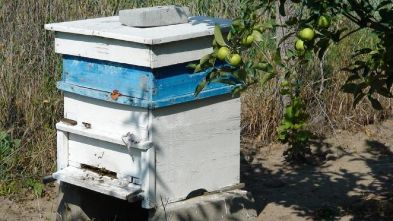 Стопаните кандидатстват по помощта за унищожени животни и пчелни семейства