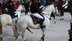 Елитни коне на Тодоров ден в село Арбанаси