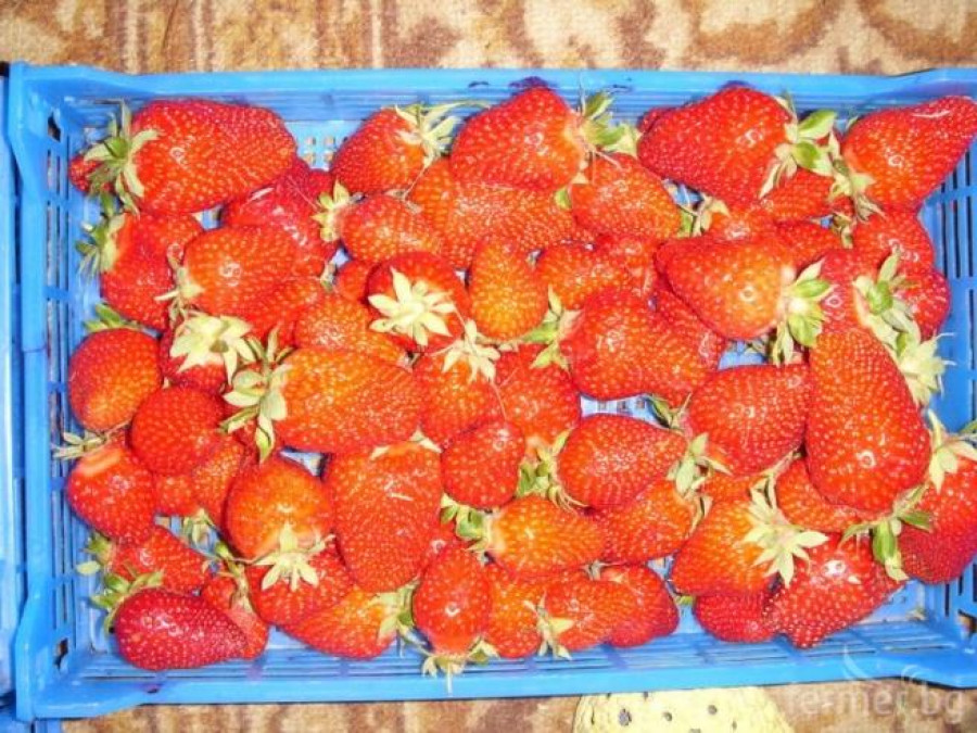 моите ягоди - Снимка 1