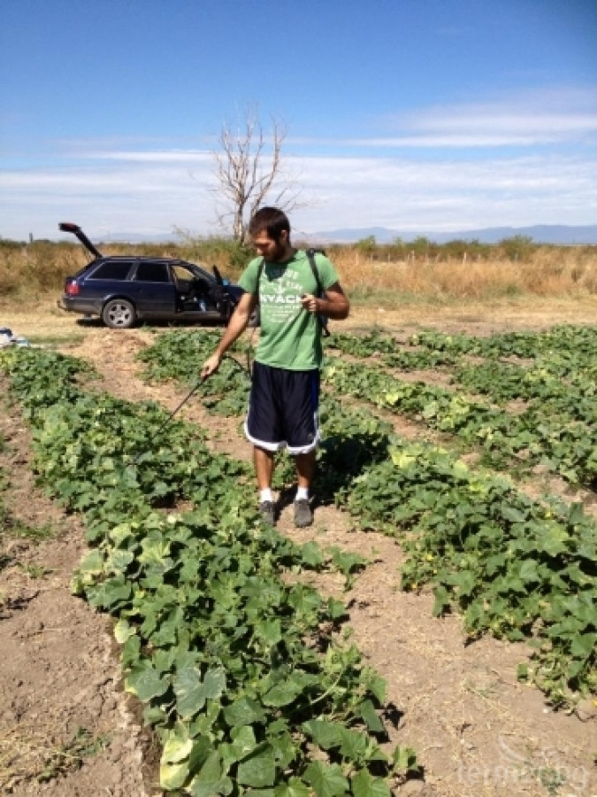 Земеделие 2011 - Снимка 1