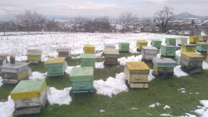 Подхранване на пчелните семейства -пчелин №1, 11.03.2014