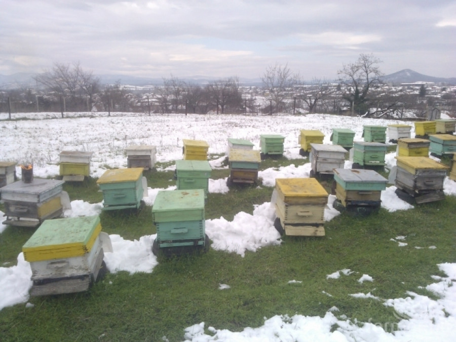 Подхранване на пчелните семейства -пчелин №1, 11.03.2014 - Снимка 1