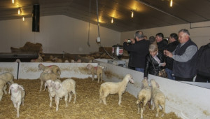 Български фермери посетиха овцевъдни ферми в Испания