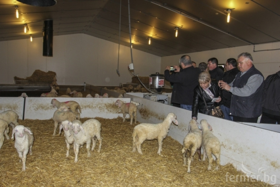 Български фермери посетиха овцевъдни ферми в Испания - Снимка 1