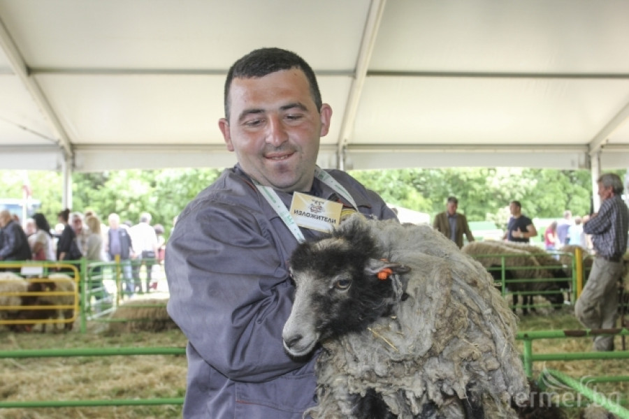 Национален събор на овцевъдите 2015 - Снимка 23